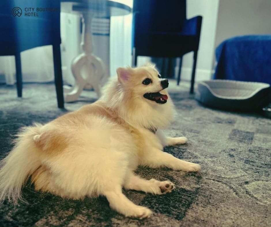 City Boutique Hotel 지엘로나구라 외부 사진